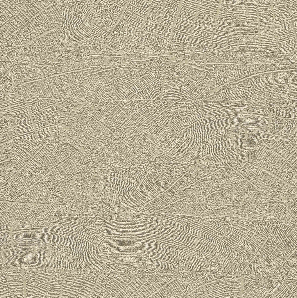 Samples and Purchasing available for Gravel Path - Flax Beige By Kravet Design | Performance Trim Indoor/Outdoor |  Trim Indoor / Outdoor at Designer Wallcoverings and Fabrics