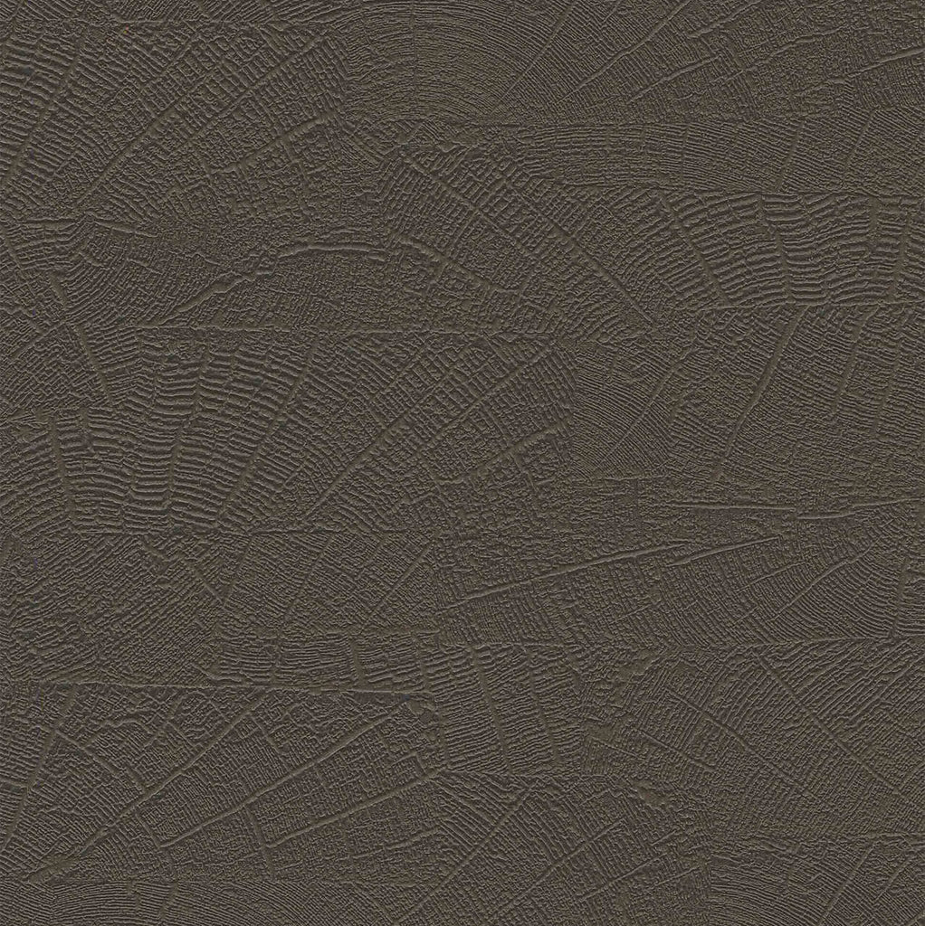 Samples and Purchasing available for Gravel Path - Flax Beige By Kravet Design | Performance Trim Indoor/Outdoor |  Trim Indoor / Outdoor at Designer Wallcoverings and Fabrics