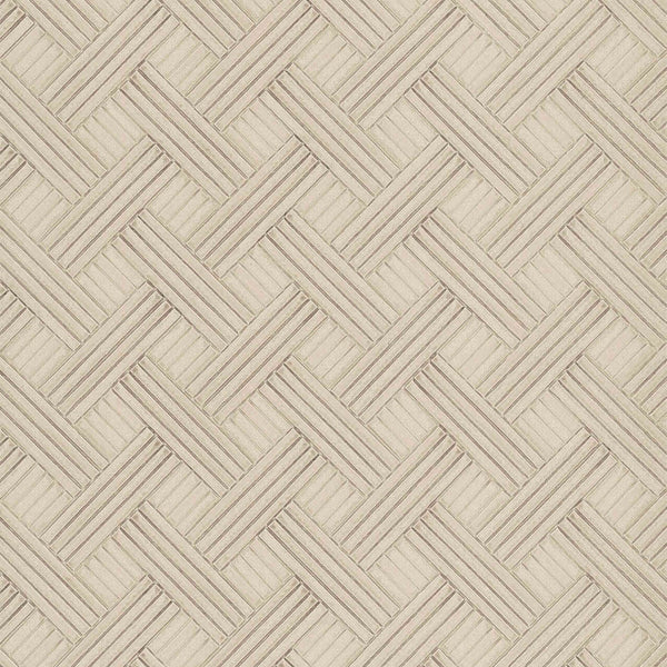 Samples and Purchasing available for Gravel Path - Flax Beige By Kravet Design | Performance Trim Indoor/Outdoor |  Trim Indoor / Outdoor at Designer Wallcoverings and Fabrics