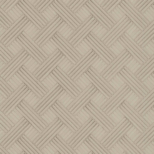 Samples and Purchasing available for Gravel Path - Flax Beige By Kravet Design | Performance Trim Indoor/Outdoor |  Trim Indoor / Outdoor at Designer Wallcoverings and Fabrics