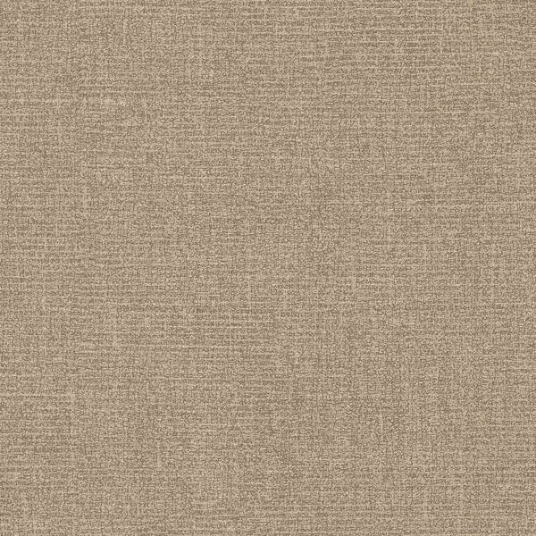 Samples and Purchasing available for Gravel Path - Flax Beige By Kravet Design | Performance Trim Indoor/Outdoor |  Trim Indoor / Outdoor at Designer Wallcoverings and Fabrics