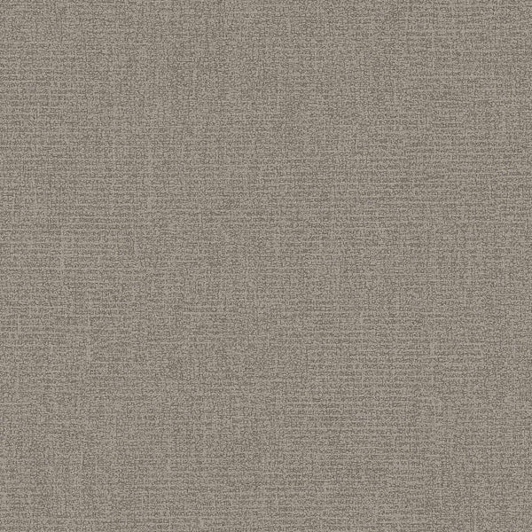 Samples and Purchasing available for Gravel Path - Flax Beige By Kravet Design | Performance Trim Indoor/Outdoor |  Trim Indoor / Outdoor at Designer Wallcoverings and Fabrics