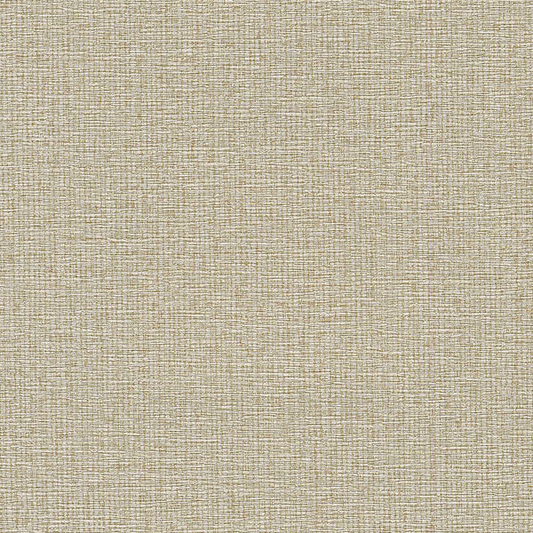 Samples and Purchasing available for Gravel Path - Flax Beige By Kravet Design | Performance Trim Indoor/Outdoor |  Trim Indoor / Outdoor at Designer Wallcoverings and Fabrics