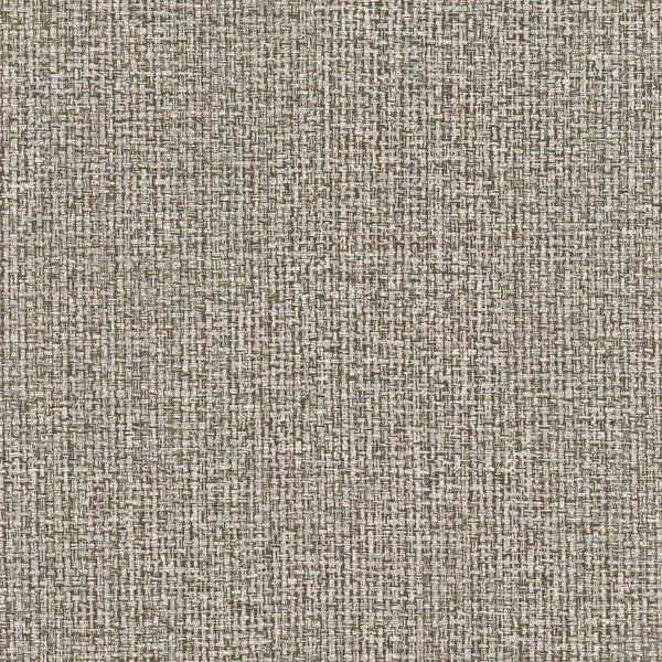 Samples and Purchasing available for Gravel Path - Flax Beige By Kravet Design | Performance Trim Indoor/Outdoor |  Trim Indoor / Outdoor at Designer Wallcoverings and Fabrics