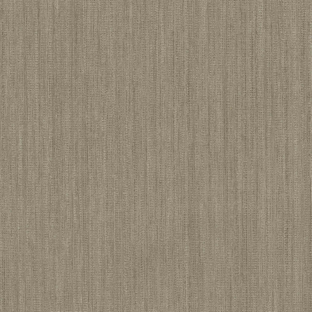 Samples and Purchasing available for Gravel Path - Flax Beige By Kravet Design | Performance Trim Indoor/Outdoor |  Trim Indoor / Outdoor at Designer Wallcoverings and Fabrics