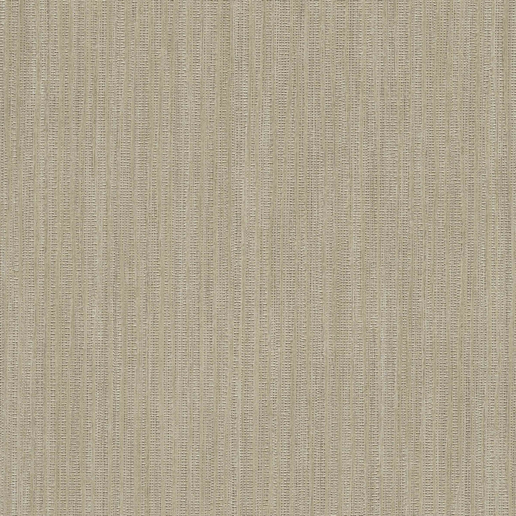 Samples and Purchasing available for Gravel Path - Flax Beige By Kravet Design | Performance Trim Indoor/Outdoor |  Trim Indoor / Outdoor at Designer Wallcoverings and Fabrics