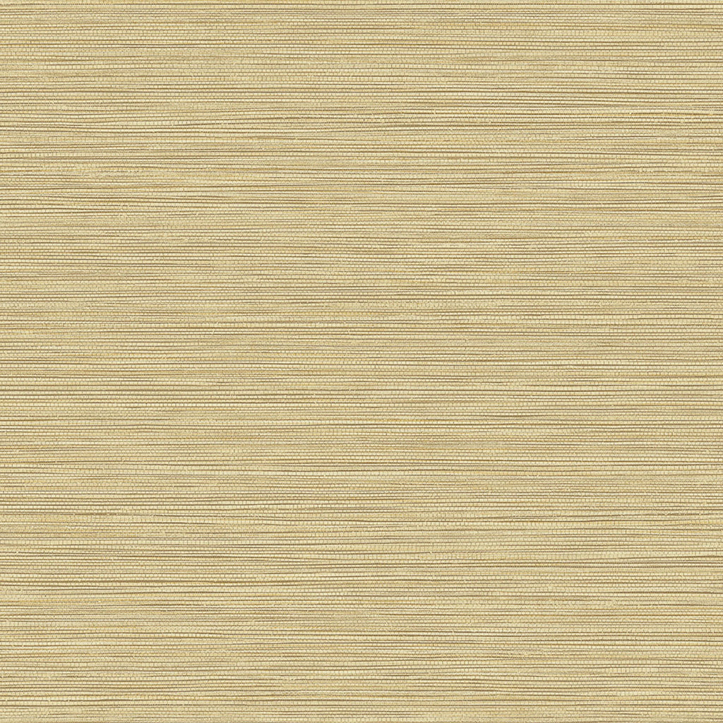 Samples and Purchasing available for Gravel Path - Flax Beige By Kravet Design | Performance Trim Indoor/Outdoor |  Trim Indoor / Outdoor at Designer Wallcoverings and Fabrics