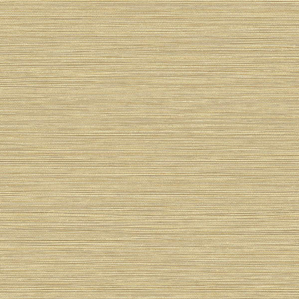 Samples and Purchasing available for Gravel Path - Flax Beige By Kravet Design | Performance Trim Indoor/Outdoor |  Trim Indoor / Outdoor at Designer Wallcoverings and Fabrics