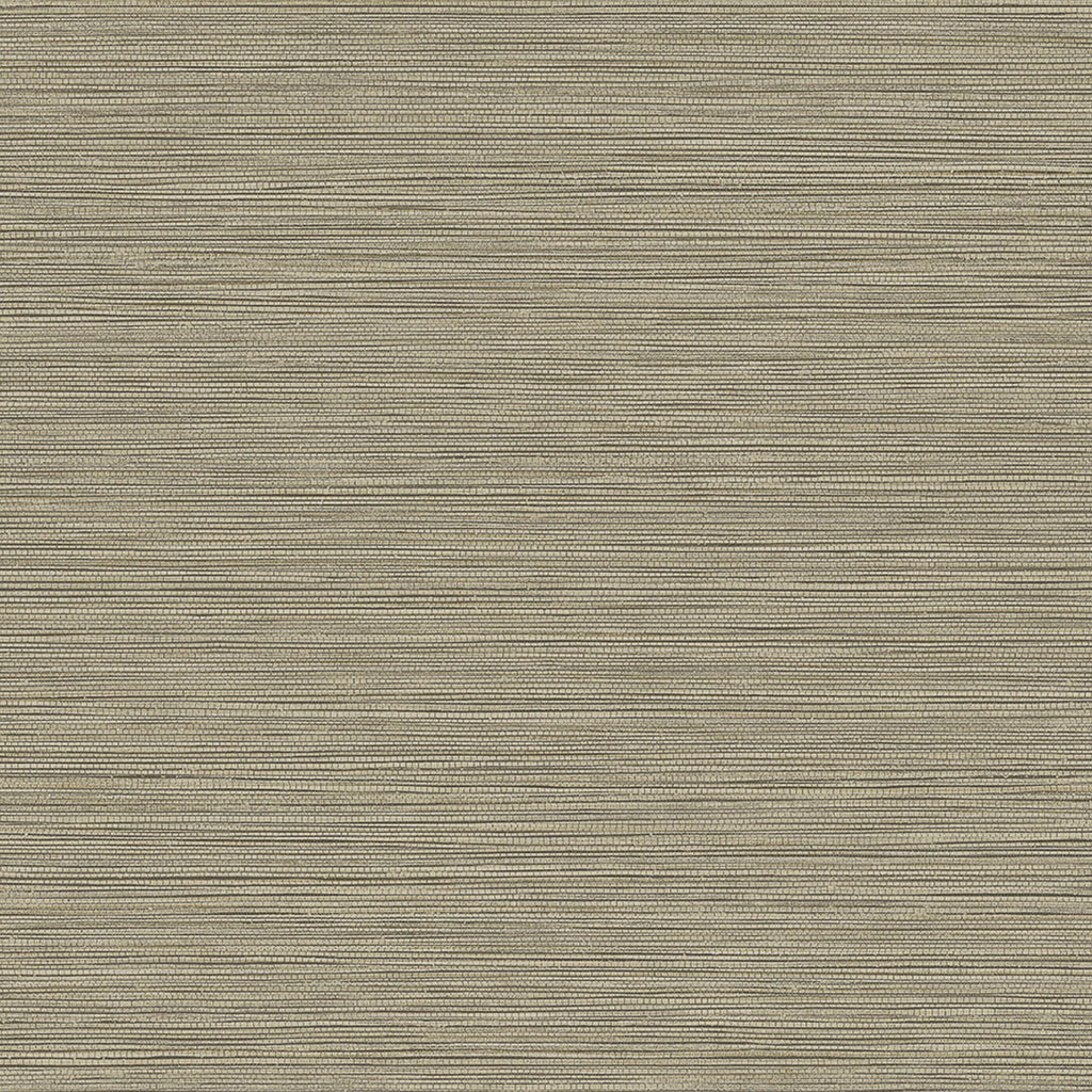 Samples and Purchasing available for Gravel Path - Flax Beige By Kravet Design | Performance Trim Indoor/Outdoor |  Trim Indoor / Outdoor at Designer Wallcoverings and Fabrics