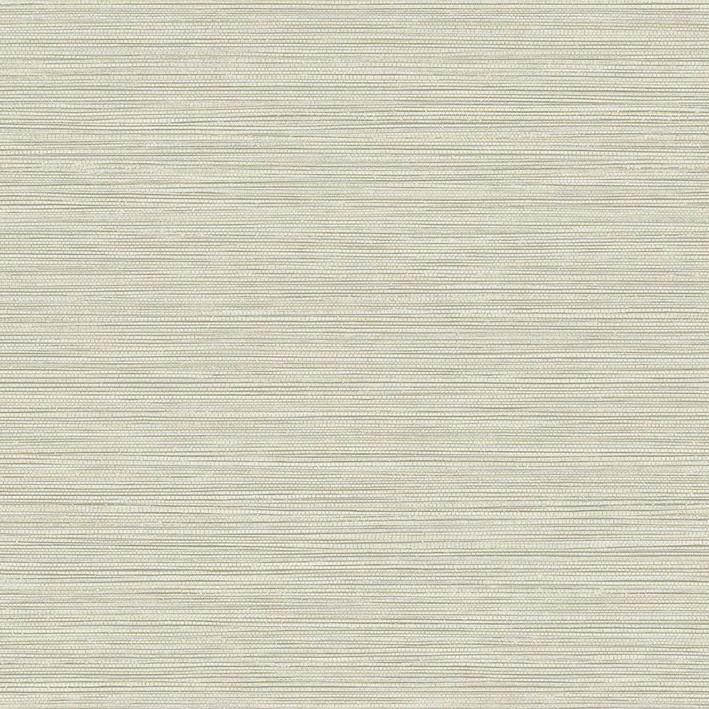 Samples and Purchasing available for Gravel Path - Flax Beige By Kravet Design | Performance Trim Indoor/Outdoor |  Trim Indoor / Outdoor at Designer Wallcoverings and Fabrics