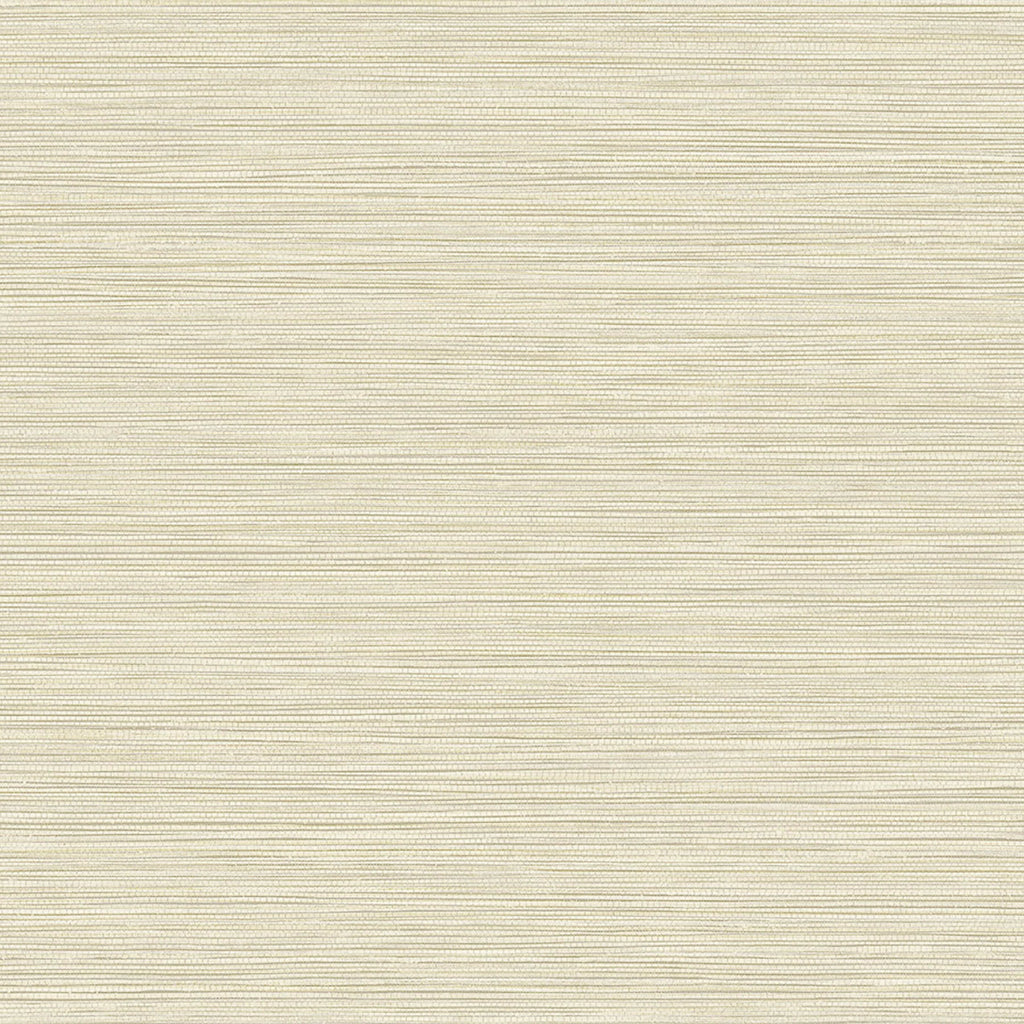 Samples and Purchasing available for Gravel Path - Flax Beige By Kravet Design | Performance Trim Indoor/Outdoor |  Trim Indoor / Outdoor at Designer Wallcoverings and Fabrics