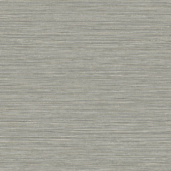 Samples and Purchasing available for Gravel Path - Flax Beige By Kravet Design | Performance Trim Indoor/Outdoor |  Trim Indoor / Outdoor at Designer Wallcoverings and Fabrics