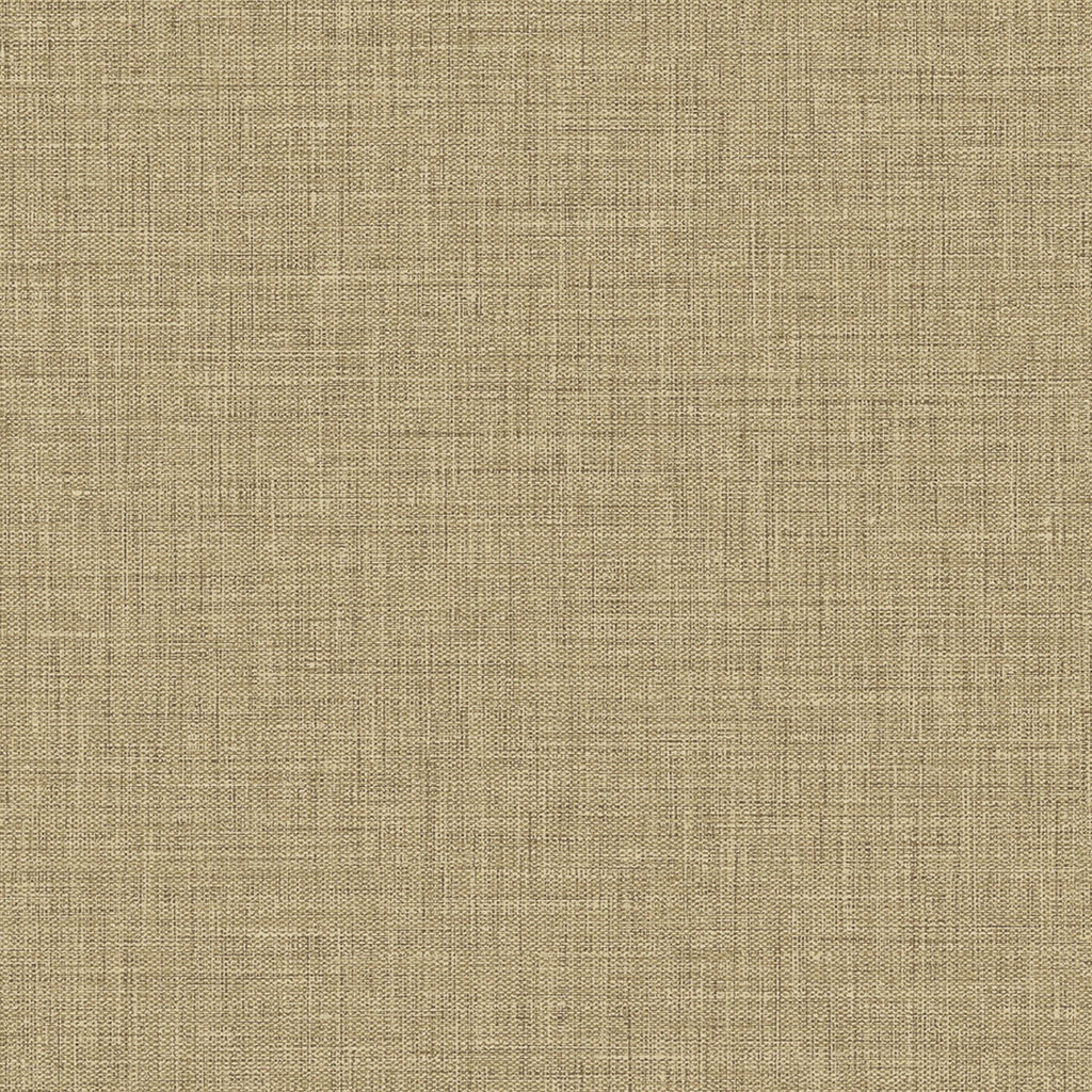 Samples and Purchasing available for Gravel Path - Flax Beige By Kravet Design | Performance Trim Indoor/Outdoor |  Trim Indoor / Outdoor at Designer Wallcoverings and Fabrics