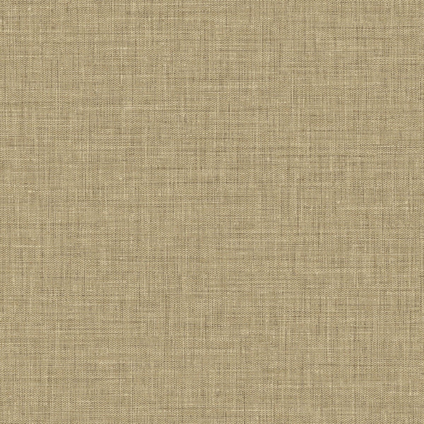 Samples and Purchasing available for Gravel Path - Flax Beige By Kravet Design | Performance Trim Indoor/Outdoor |  Trim Indoor / Outdoor at Designer Wallcoverings and Fabrics