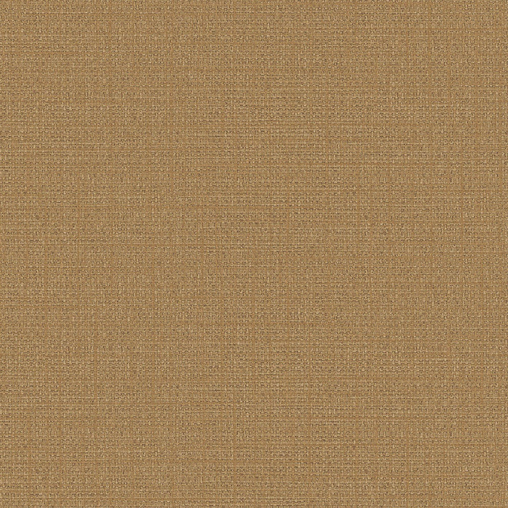 Samples and Purchasing available for Gravel Path - Flax Beige By Kravet Design | Performance Trim Indoor/Outdoor |  Trim Indoor / Outdoor at Designer Wallcoverings and Fabrics