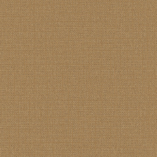 Samples and Purchasing available for Gravel Path - Flax Beige By Kravet Design | Performance Trim Indoor/Outdoor |  Trim Indoor / Outdoor at Designer Wallcoverings and Fabrics