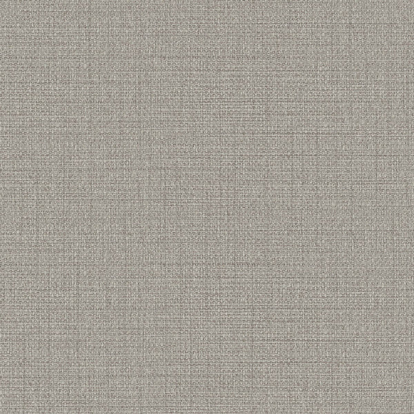 Samples and Purchasing available for Gravel Path - Flax Beige By Kravet Design | Performance Trim Indoor/Outdoor |  Trim Indoor / Outdoor at Designer Wallcoverings and Fabrics