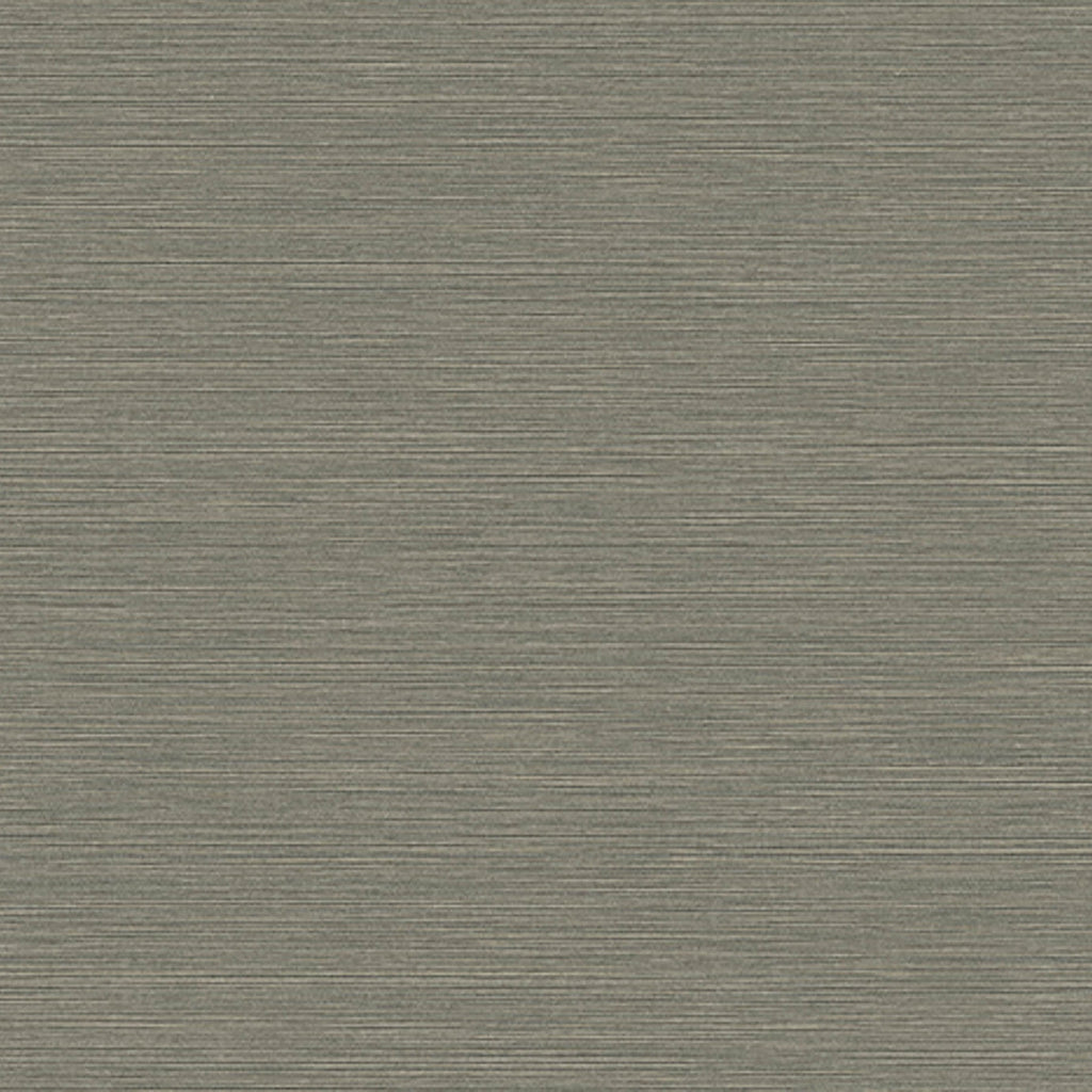 Samples and Purchasing available for Gravel Path - Flax Beige By Kravet Design | Performance Trim Indoor/Outdoor |  Trim Indoor / Outdoor at Designer Wallcoverings and Fabrics