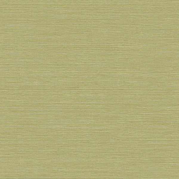 Samples and Purchasing available for Gravel Path - Flax Beige By Kravet Design | Performance Trim Indoor/Outdoor |  Trim Indoor / Outdoor at Designer Wallcoverings and Fabrics