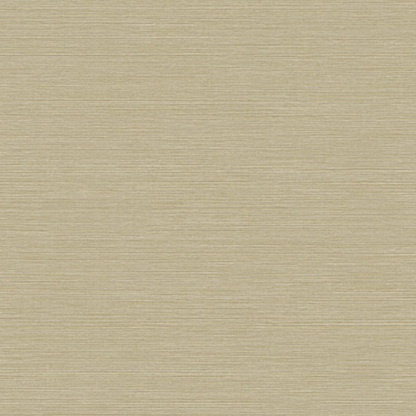 Samples and Purchasing available for Gravel Path - Flax Beige By Kravet Design | Performance Trim Indoor/Outdoor |  Trim Indoor / Outdoor at Designer Wallcoverings and Fabrics