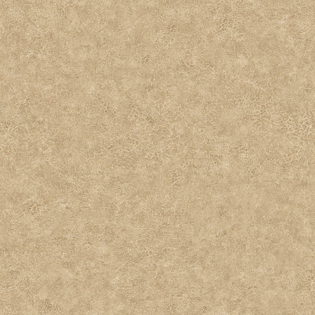 Samples and Purchasing available for Gravel Path - Flax Beige By Kravet Design | Performance Trim Indoor/Outdoor |  Trim Indoor / Outdoor at Designer Wallcoverings and Fabrics