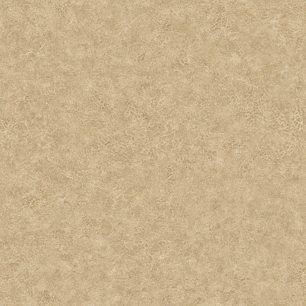 Samples and Purchasing available for Gravel Path - Flax Beige By Kravet Design | Performance Trim Indoor/Outdoor |  Trim Indoor / Outdoor at Designer Wallcoverings and Fabrics