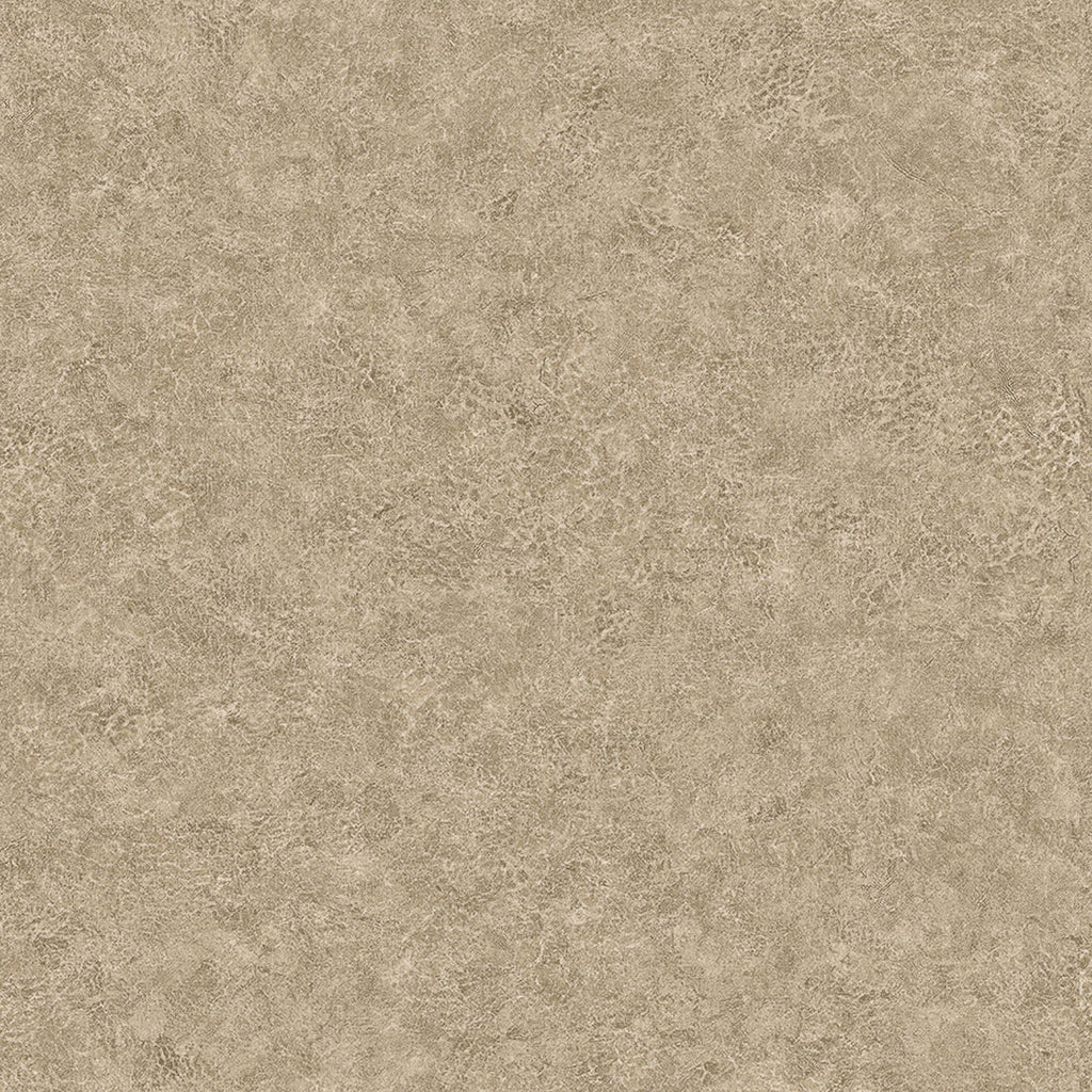 Samples and Purchasing available for Gravel Path - Flax Beige By Kravet Design | Performance Trim Indoor/Outdoor |  Trim Indoor / Outdoor at Designer Wallcoverings and Fabrics