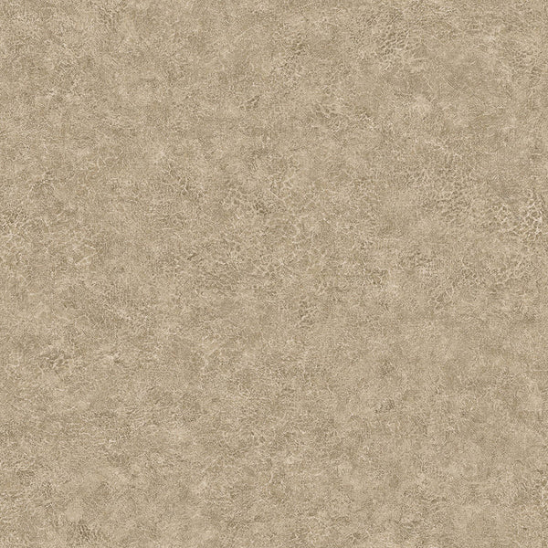 Samples and Purchasing available for Gravel Path - Flax Beige By Kravet Design | Performance Trim Indoor/Outdoor |  Trim Indoor / Outdoor at Designer Wallcoverings and Fabrics