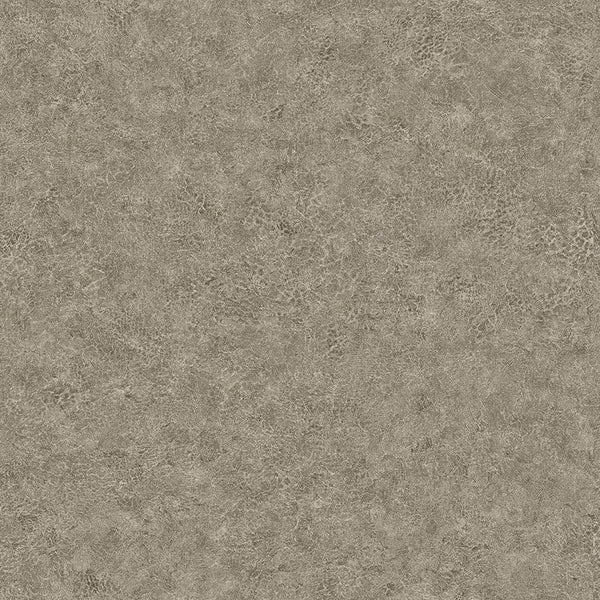 Samples and Purchasing available for Gravel Path - Flax Beige By Kravet Design | Performance Trim Indoor/Outdoor |  Trim Indoor / Outdoor at Designer Wallcoverings and Fabrics