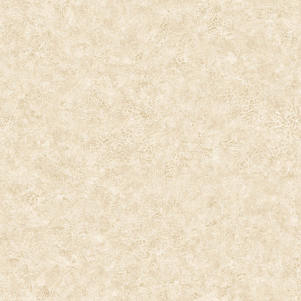 Samples and Purchasing available for Gravel Path - Flax Beige By Kravet Design | Performance Trim Indoor/Outdoor |  Trim Indoor / Outdoor at Designer Wallcoverings and Fabrics