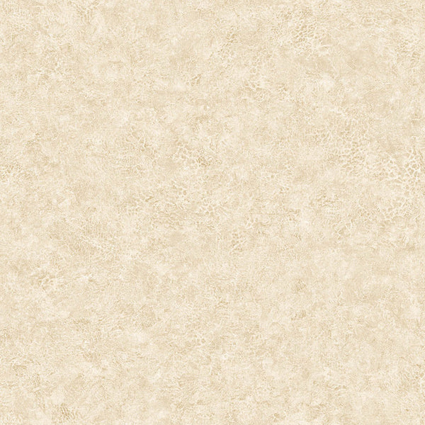 Samples and Purchasing available for Gravel Path - Flax Beige By Kravet Design | Performance Trim Indoor/Outdoor |  Trim Indoor / Outdoor at Designer Wallcoverings and Fabrics