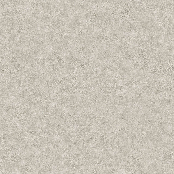 Samples and Purchasing available for Gravel Path - Flax Beige By Kravet Design | Performance Trim Indoor/Outdoor |  Trim Indoor / Outdoor at Designer Wallcoverings and Fabrics