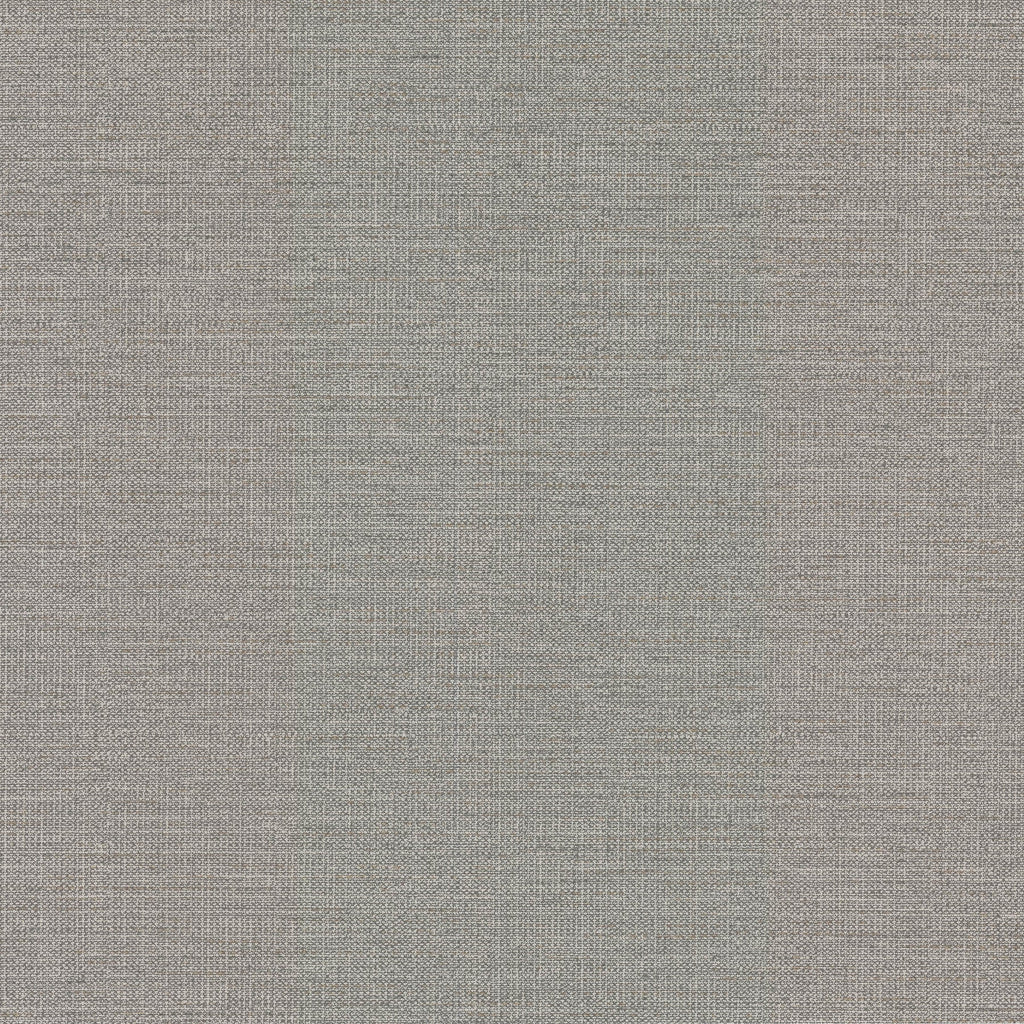 Samples and Purchasing available for Gravel Path - Flax Beige By Kravet Design | Performance Trim Indoor/Outdoor |  Trim Indoor / Outdoor at Designer Wallcoverings and Fabrics