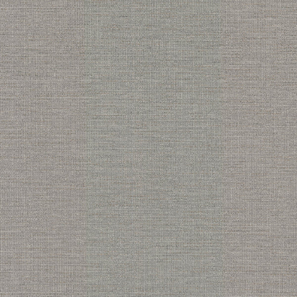 Samples and Purchasing available for Gravel Path - Flax Beige By Kravet Design | Performance Trim Indoor/Outdoor |  Trim Indoor / Outdoor at Designer Wallcoverings and Fabrics