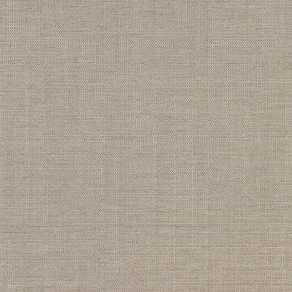 Samples and Purchasing available for Gravel Path - Flax Beige By Kravet Design | Performance Trim Indoor/Outdoor |  Trim Indoor / Outdoor at Designer Wallcoverings and Fabrics