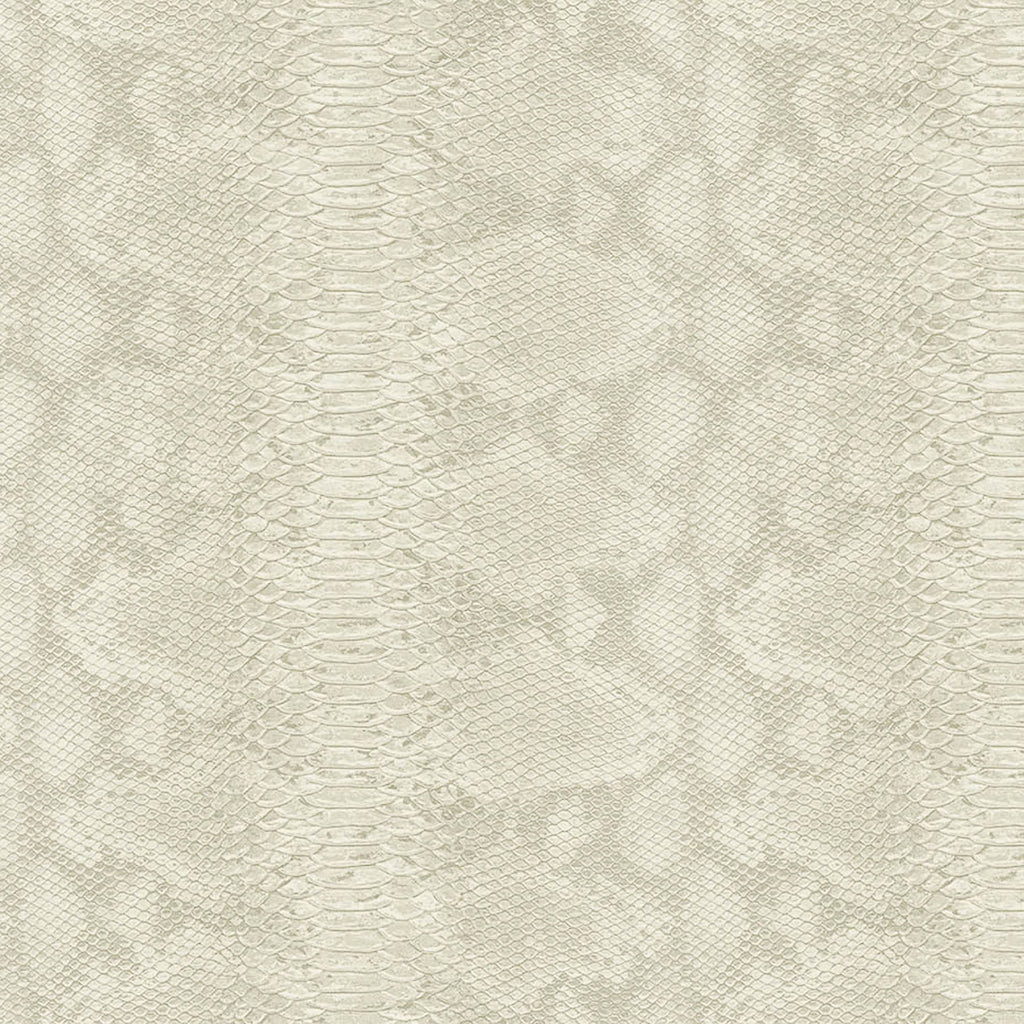 Samples and Purchasing available for Gravel Path - Flax Beige By Kravet Design | Performance Trim Indoor/Outdoor |  Trim Indoor / Outdoor at Designer Wallcoverings and Fabrics