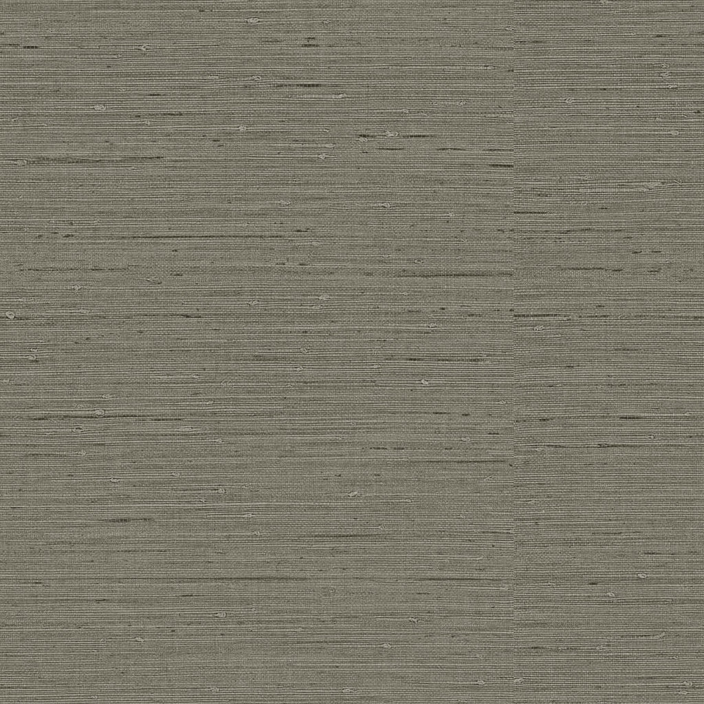 Samples and Purchasing available for Gravel Path - Flax Beige By Kravet Design | Performance Trim Indoor/Outdoor |  Trim Indoor / Outdoor at Designer Wallcoverings and Fabrics