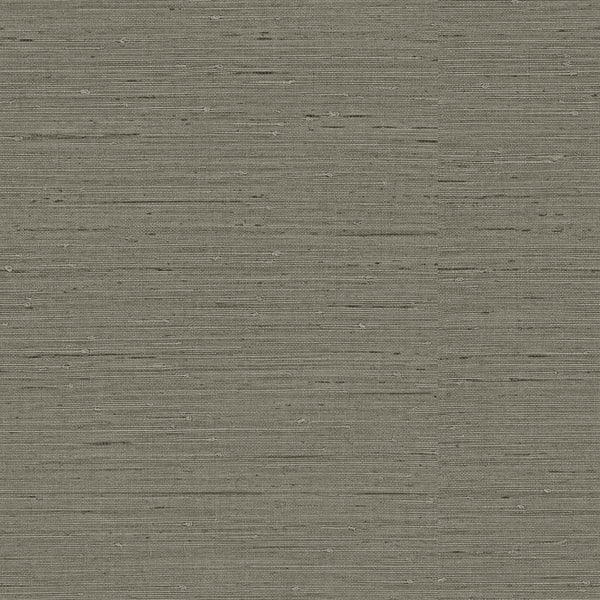 Samples and Purchasing available for Gravel Path - Flax Beige By Kravet Design | Performance Trim Indoor/Outdoor |  Trim Indoor / Outdoor at Designer Wallcoverings and Fabrics