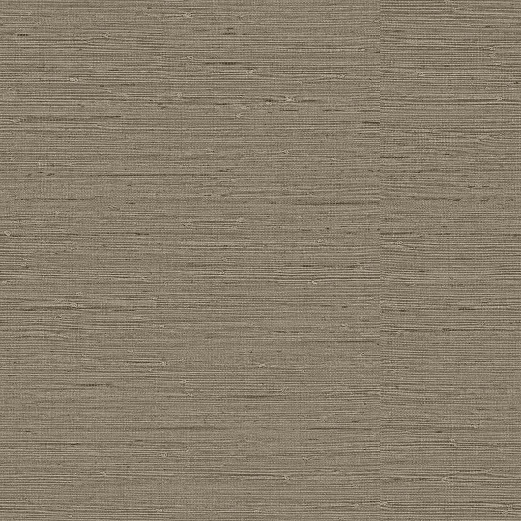 Samples and Purchasing available for Gravel Path - Flax Beige By Kravet Design | Performance Trim Indoor/Outdoor |  Trim Indoor / Outdoor at Designer Wallcoverings and Fabrics