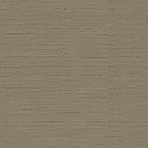 Samples and Purchasing available for Gravel Path - Flax Beige By Kravet Design | Performance Trim Indoor/Outdoor |  Trim Indoor / Outdoor at Designer Wallcoverings and Fabrics