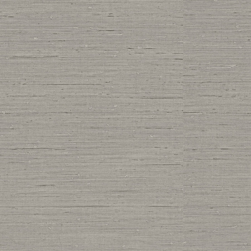 Samples and Purchasing available for Gravel Path - Flax Beige By Kravet Design | Performance Trim Indoor/Outdoor |  Trim Indoor / Outdoor at Designer Wallcoverings and Fabrics