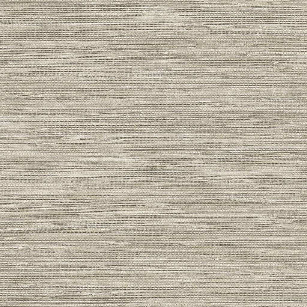 Samples and Purchasing available for Gravel Path - Flax Beige By Kravet Design | Performance Trim Indoor/Outdoor |  Trim Indoor / Outdoor at Designer Wallcoverings and Fabrics