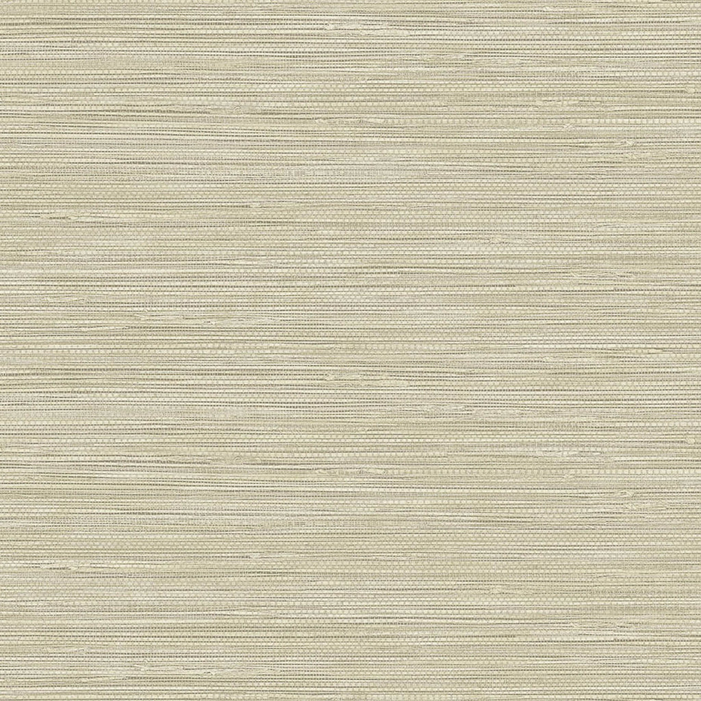 Samples and Purchasing available for Gravel Path - Flax Beige By Kravet Design | Performance Trim Indoor/Outdoor |  Trim Indoor / Outdoor at Designer Wallcoverings and Fabrics