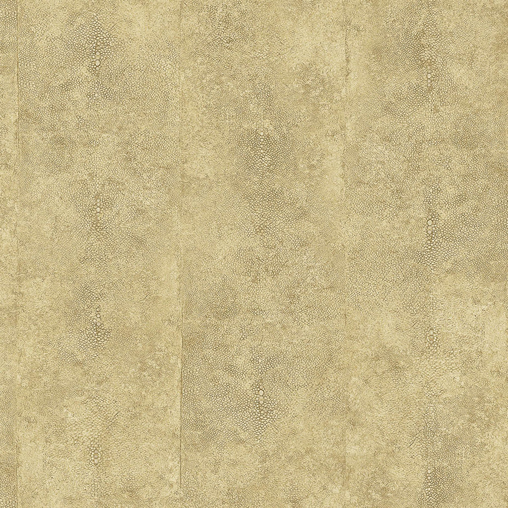 Samples and Purchasing available for Gravel Path - Flax Beige By Kravet Design | Performance Trim Indoor/Outdoor |  Trim Indoor / Outdoor at Designer Wallcoverings and Fabrics