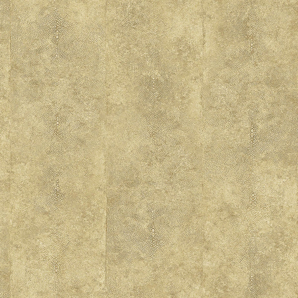 Samples and Purchasing available for Gravel Path - Flax Beige By Kravet Design | Performance Trim Indoor/Outdoor |  Trim Indoor / Outdoor at Designer Wallcoverings and Fabrics