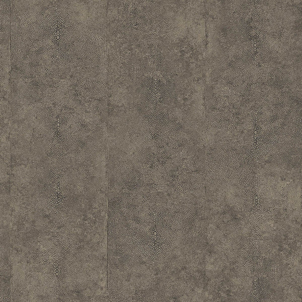 Samples and Purchasing available for Gravel Path - Flax Beige By Kravet Design | Performance Trim Indoor/Outdoor |  Trim Indoor / Outdoor at Designer Wallcoverings and Fabrics