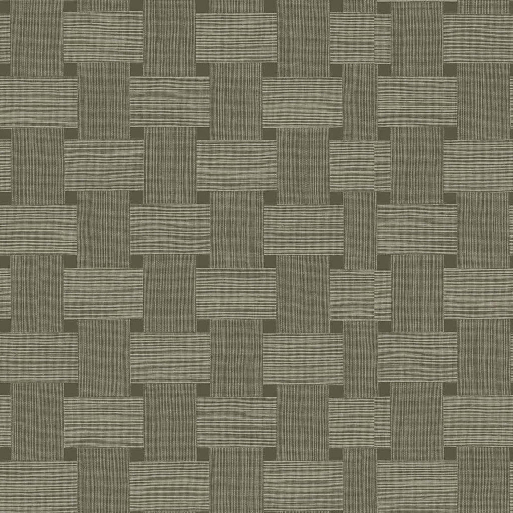 Samples and Purchasing available for Gravel Path - Flax Beige By Kravet Design | Performance Trim Indoor/Outdoor |  Trim Indoor / Outdoor at Designer Wallcoverings and Fabrics