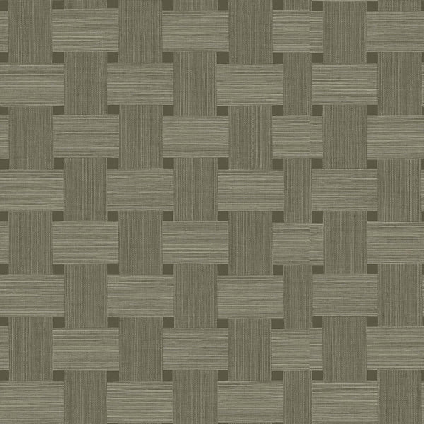 Samples and Purchasing available for Gravel Path - Flax Beige By Kravet Design | Performance Trim Indoor/Outdoor |  Trim Indoor / Outdoor at Designer Wallcoverings and Fabrics