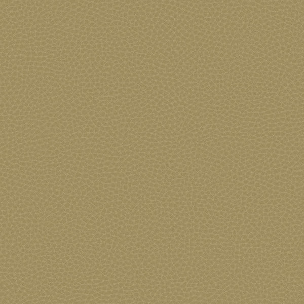 Samples and Purchasing available for Gravel Path - Flax Beige By Kravet Design | Performance Trim Indoor/Outdoor |  Trim Indoor / Outdoor at Designer Wallcoverings and Fabrics