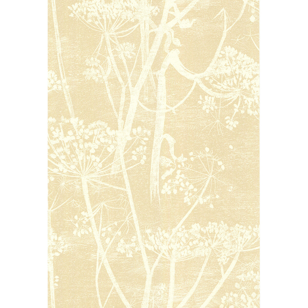 Samples and Purchasing available for Cow Parsley - White/Bge Beige By Cole & Son | Cole & Son New Contemporary | Botanical & Floral Wallcovering  at Designer Wallcoverings and Fabrics